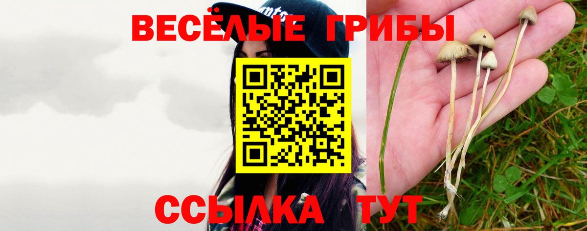 Псилоцибиновые грибы Magic Shrooms Карталы
